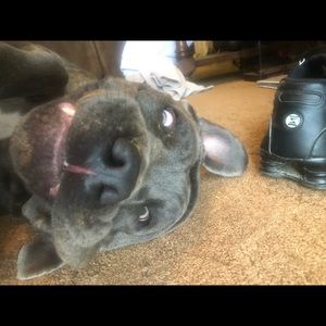 Meet your Posher, Bernie